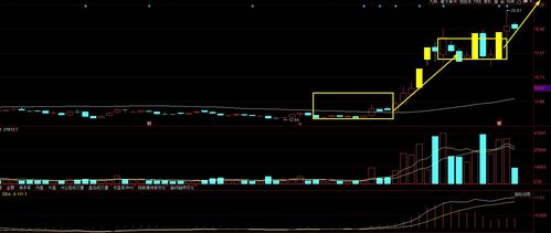 A股大尋寶 四只具備“飛天”潛力、散戶忽略卻獲資金悄然關注的標的