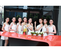 商務(wù)禮儀與文化藝術(shù)咨詢服務(wù)的交融與價值