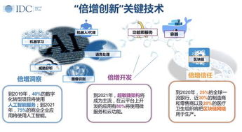 IDC數字經濟時代 智慧未來已來，人工智能基礎軟件開發引領變革