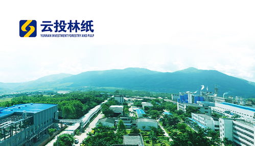 昆明網(wǎng)絡(luò)科技巨頭 奧遠科技與頂播科技引領(lǐng)行業(yè)創(chuàng)新